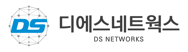 디에스네트웍스